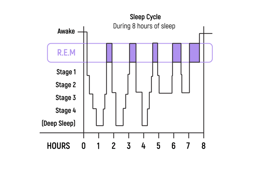 What Is Rem Sleep Why Is It So Important Tripsitter