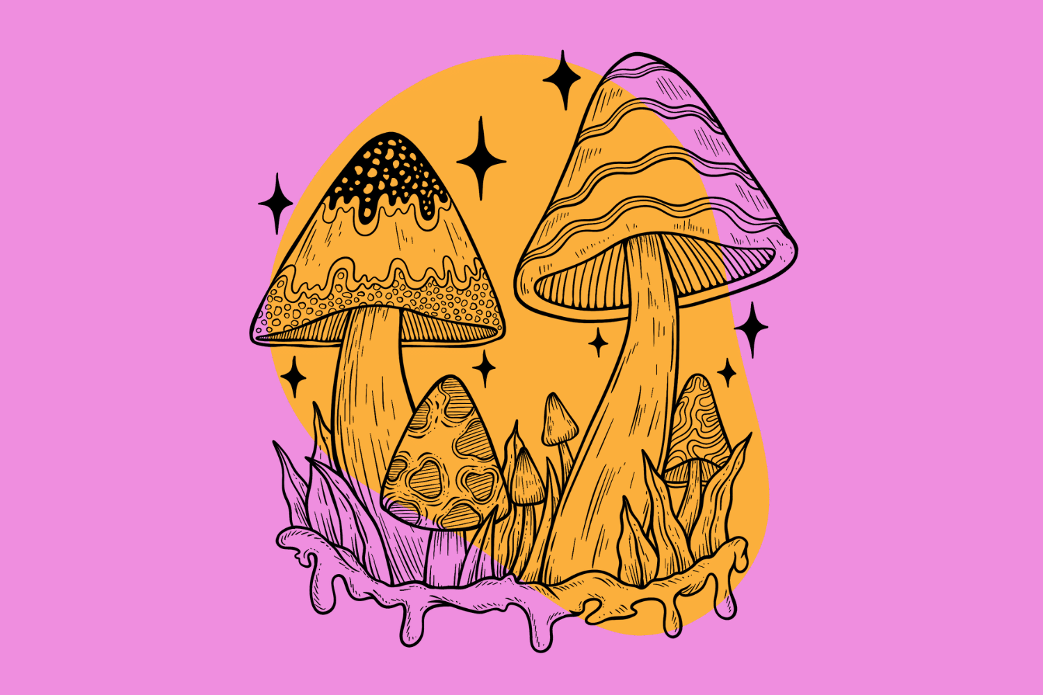 Do Shrooms Go Bad? - Tripsitter