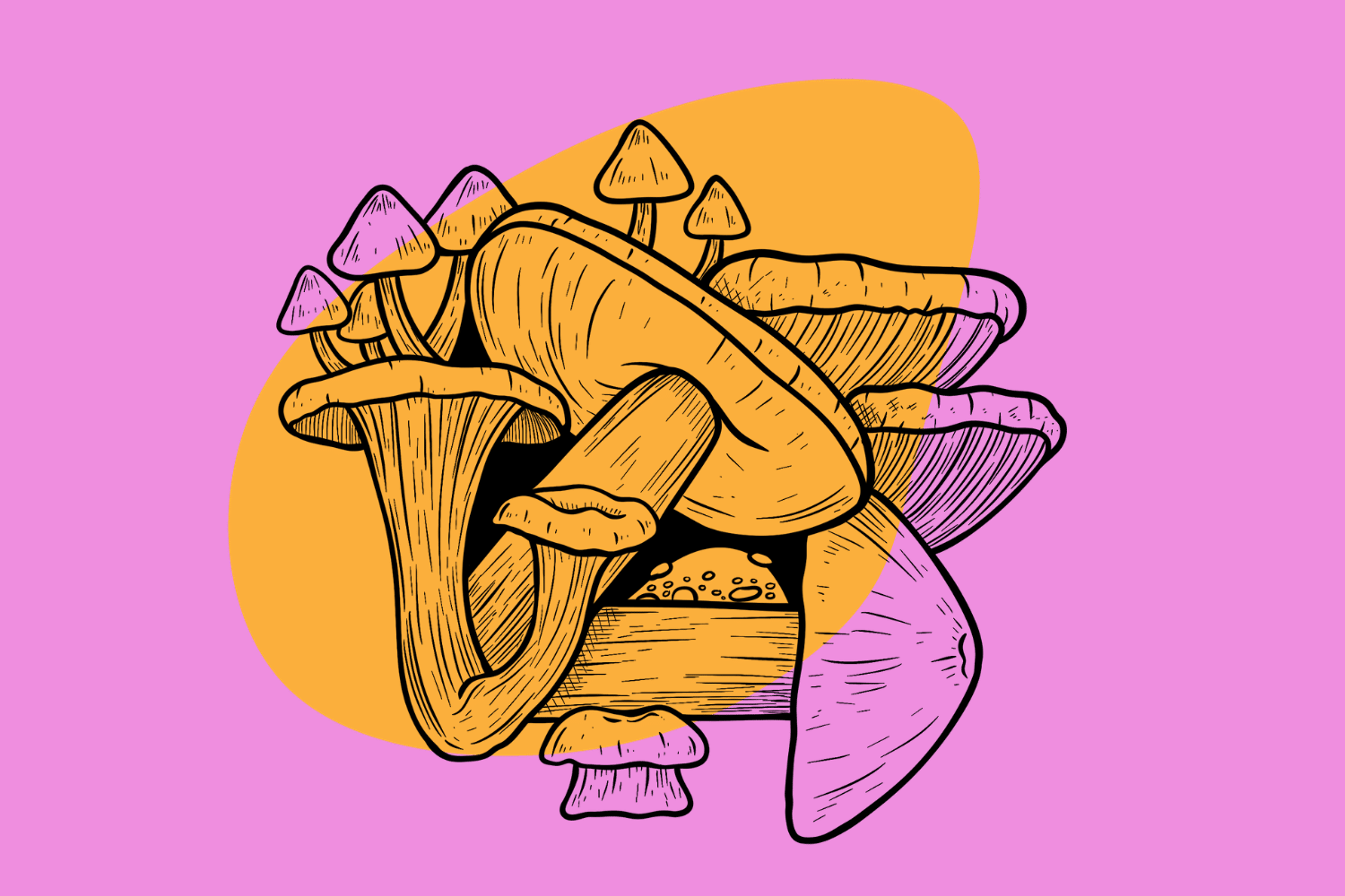 List of the Easiest Mushroom Species to Grow At Home - Tripsitter