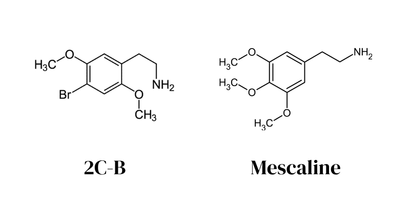 trip safe drug interactions