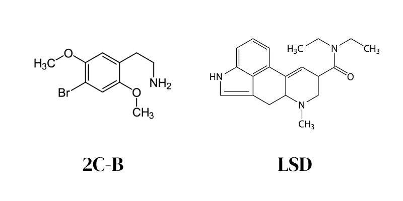 trip safe drug interactions