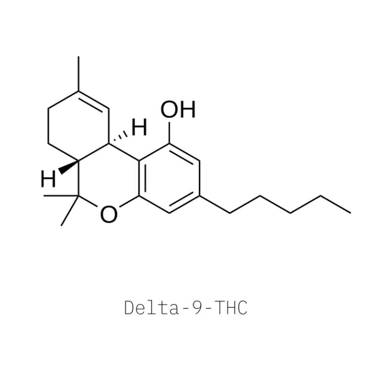 Delta 9 THC Ultimate Guide to the World’s Most Popular Psychoactive Drug Tripsitter