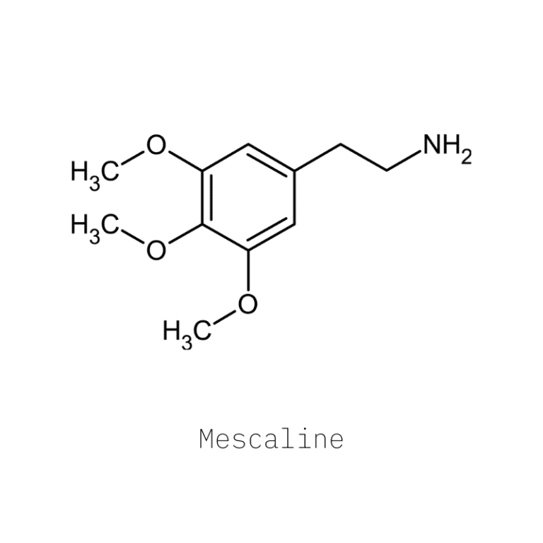 Mescaline: Peyote, San Pedro, & Peruvian Torch Cactus - Tripsitter