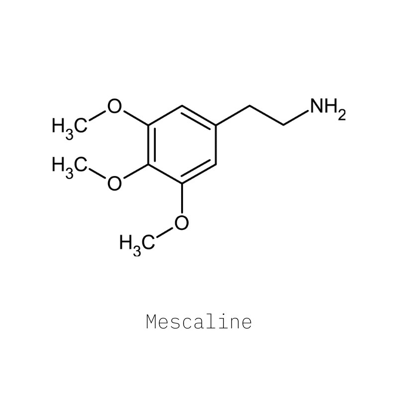 Mescaline Peyote San Pedro