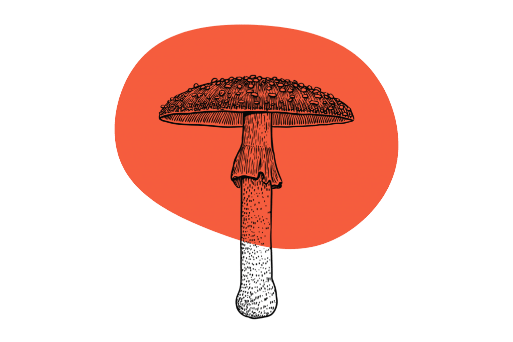 How To Grow Magic Mushrooms.