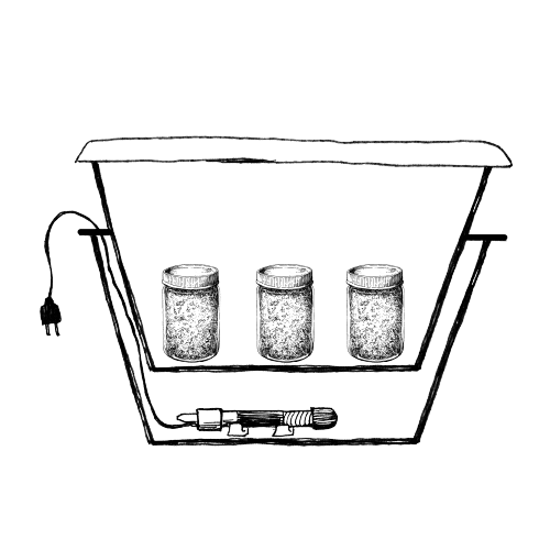 mushroom incubator dry heat vs