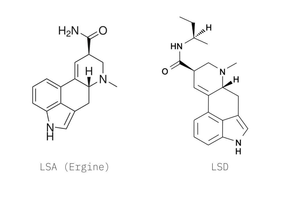 LSA