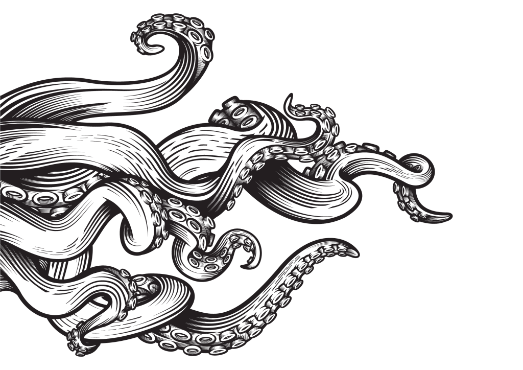 octopus-arms-1024x724.png