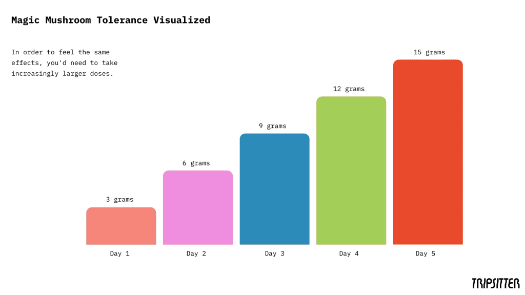 Why Are My Shrooms Getting Weaker? (Magic Mushroom Tolerance Calculator