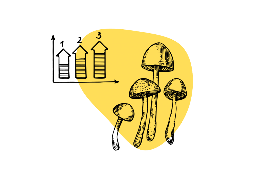 Where to Buy Magic Mushroom Spores (Canada, USA, Europe) - Tripsitter