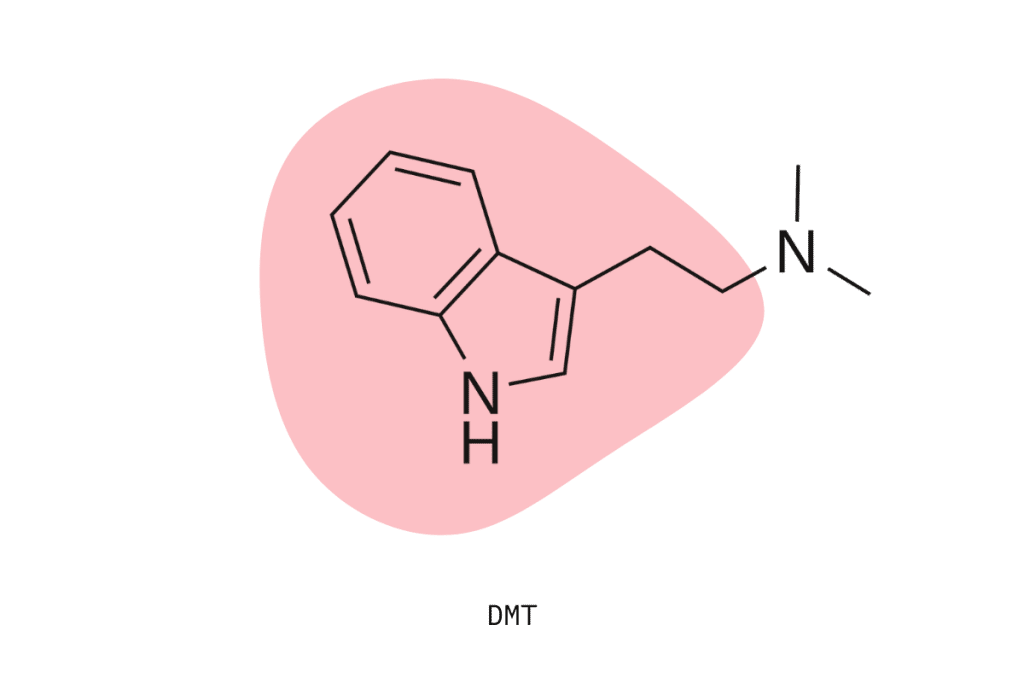 How To Test Psychedelics With Drug Testing Kits & Reagents