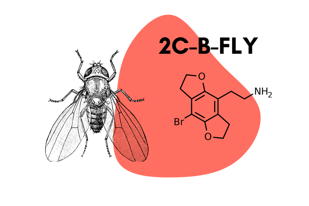 2C-B-FLY: Is It The Best Psychedelic For Arousal & Sexual Intimacy?