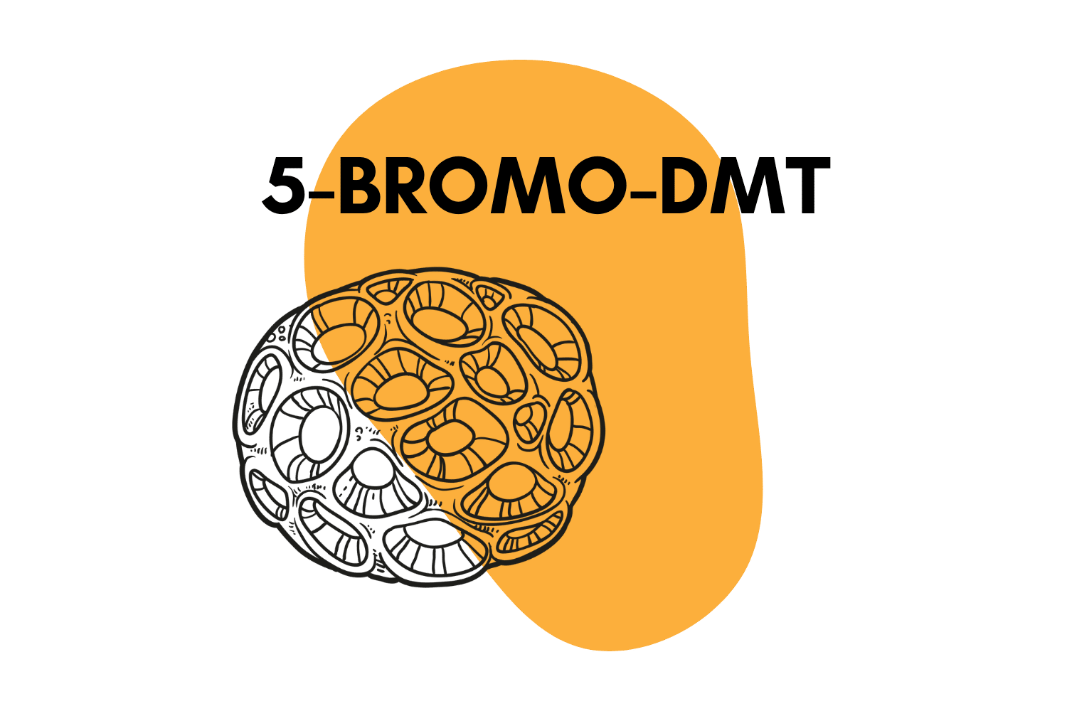 what-is-5-bromo-dmt-spongebob-dmt