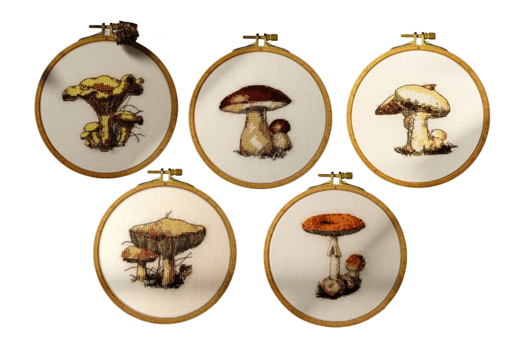 Forest Mushrooms Embroidery Kit, Mushrooms Embroidery, Autumn