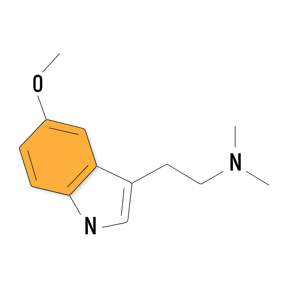 What is DMT? (The Spirit Molecule)