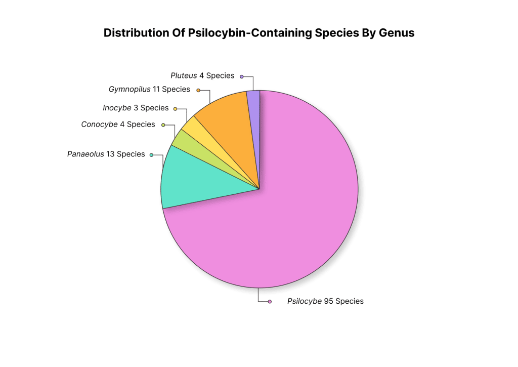 psilocybin mushroom species