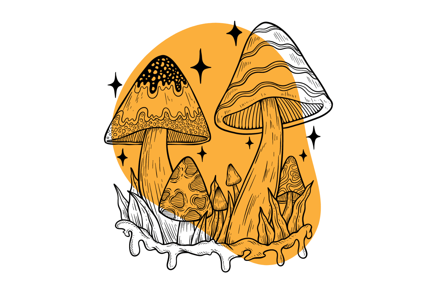 Magic Mushrooms 101: Everything You Need To Know Before You Trip -  Tripsitter