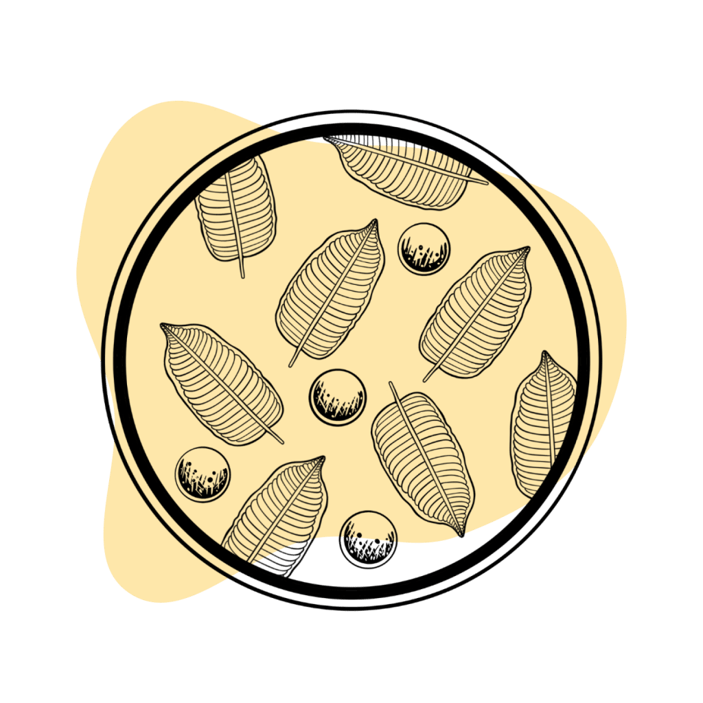 Kratom-1-1024x1024.png