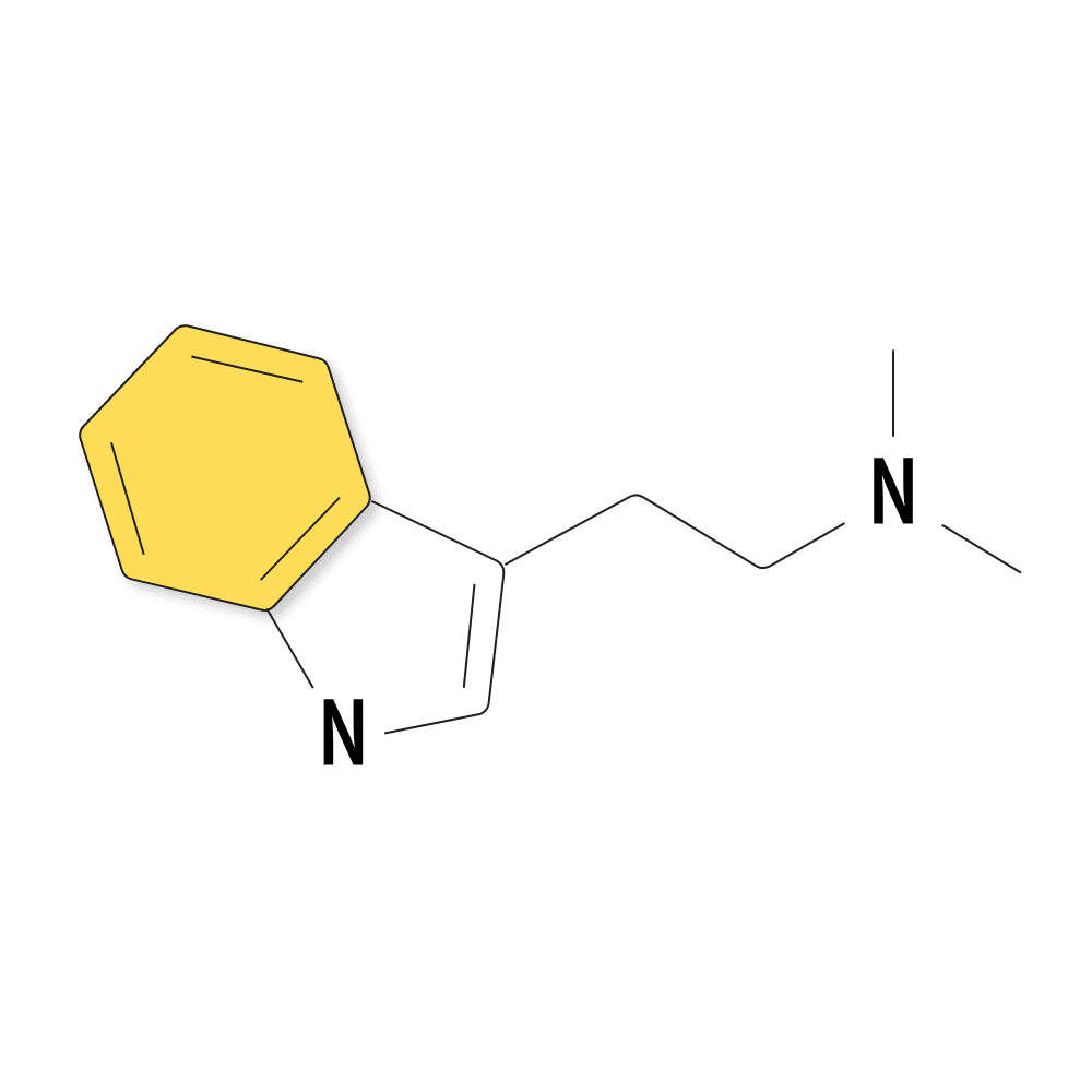 What is DMT? (The Spirit Molecule)