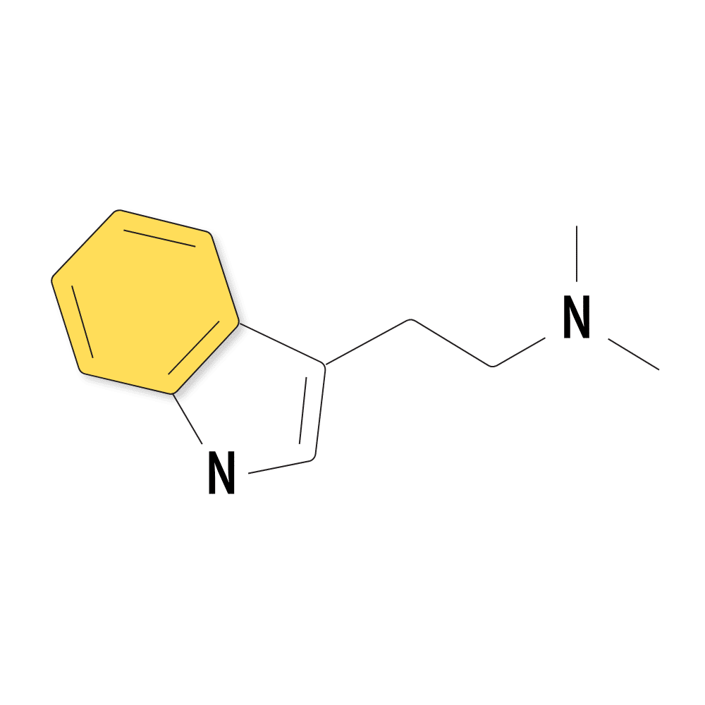 Where to buy DMT online.