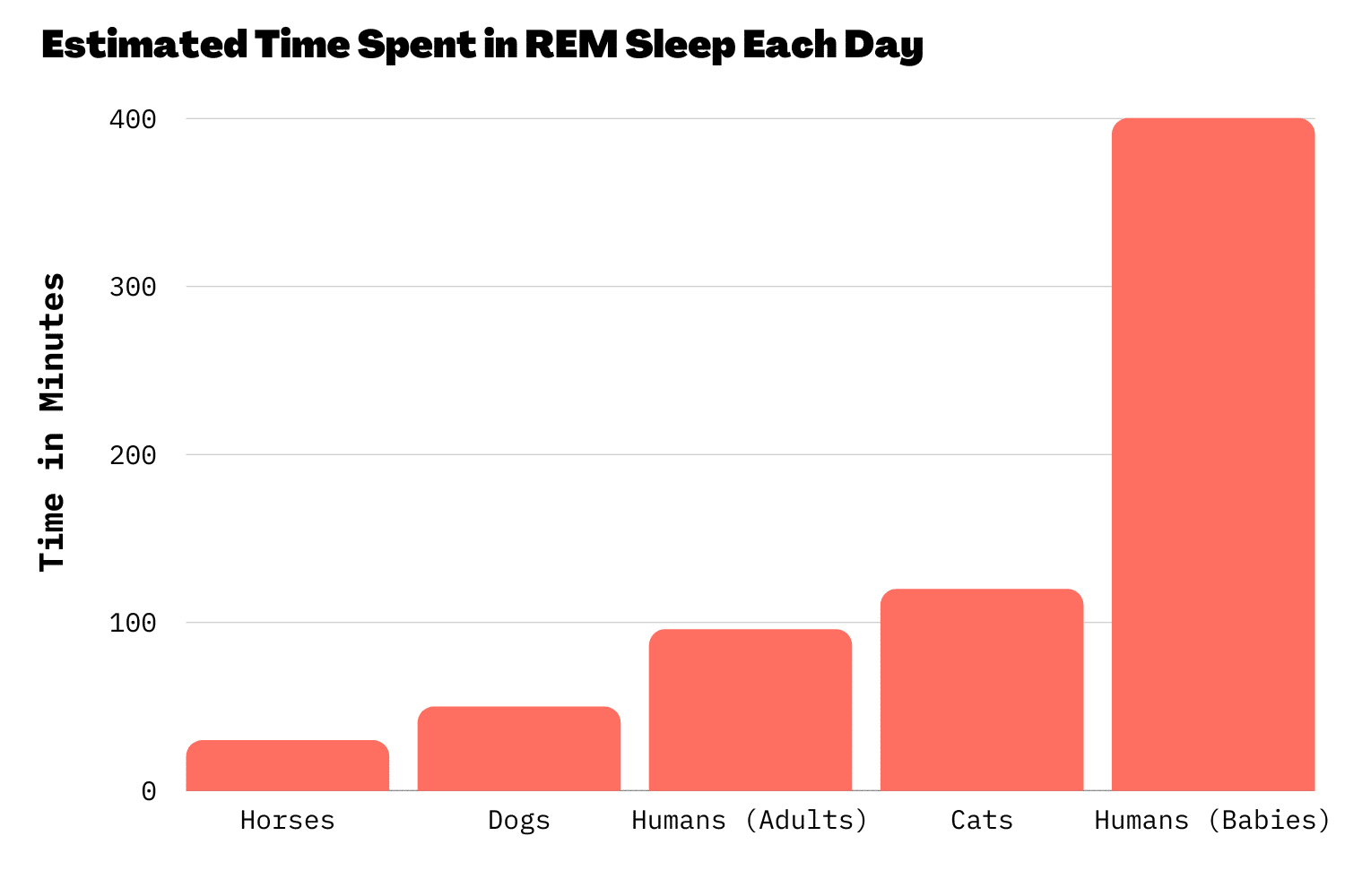 What is REM Sleep & Why Is It So Important? Tripsitter