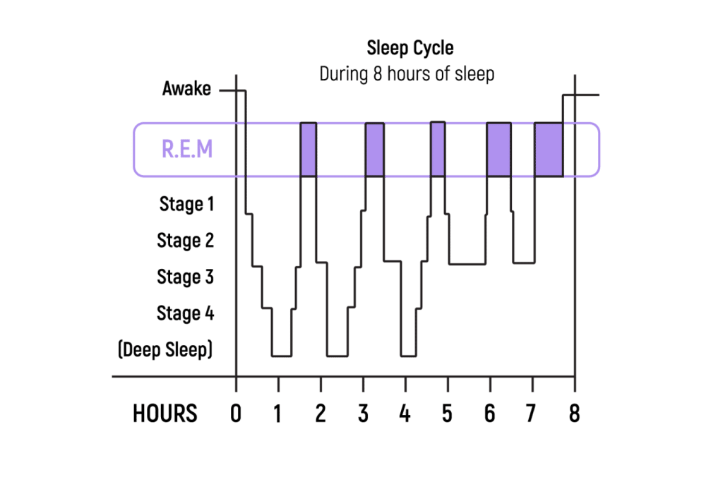 Stages Of Sleep Non REM REM Sleep Studies 51 OFF