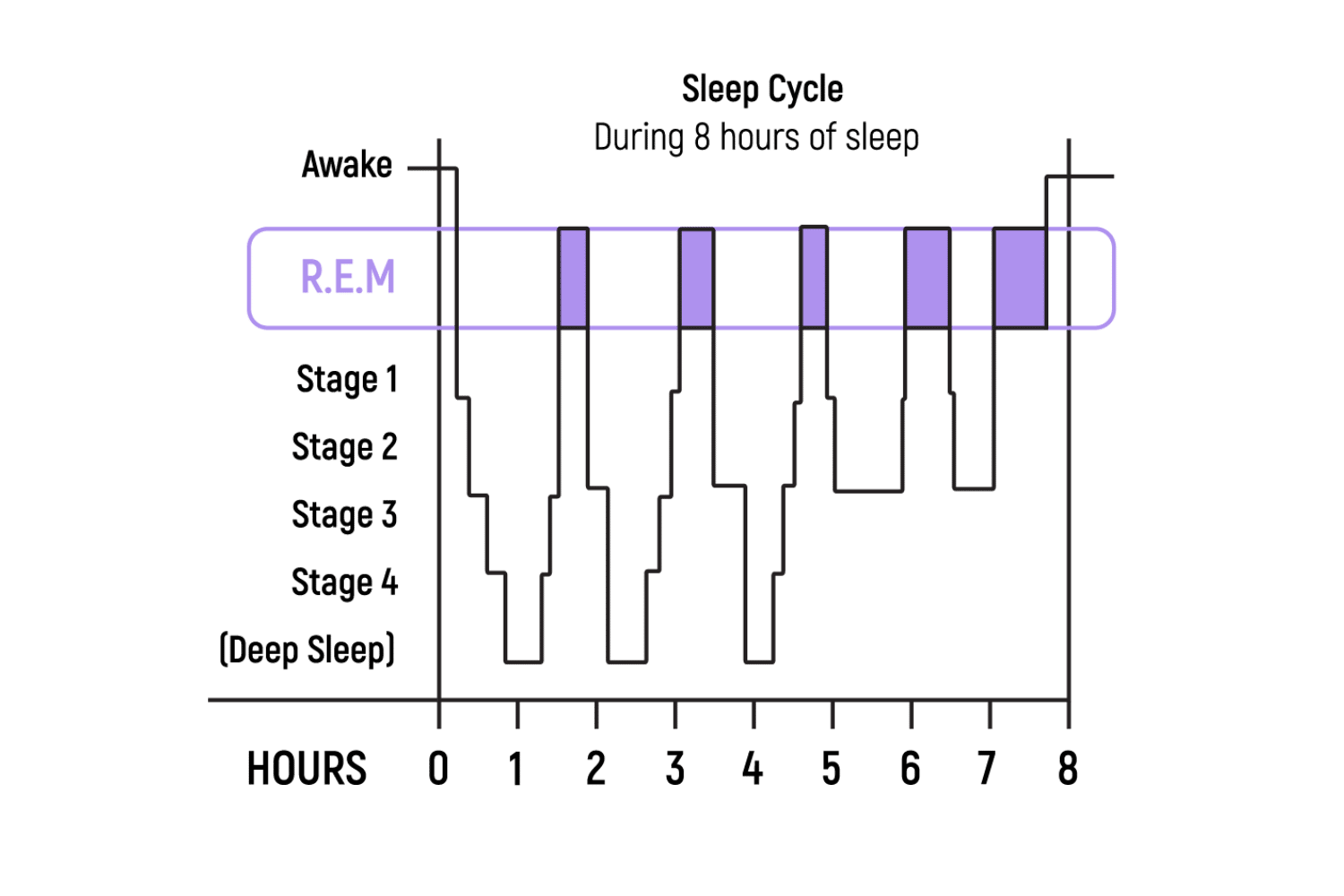 what-is-rem-sleep-why-is-it-so-important-tripsitter