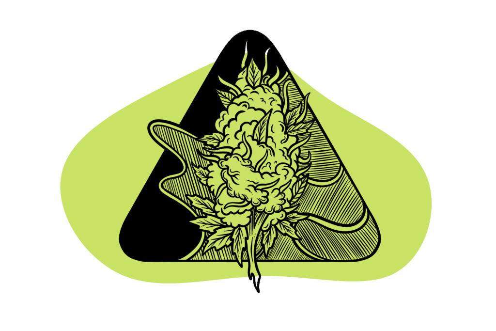 THCA (THCAcid) Legal Loopholes & the Science of THCA Tripsitter