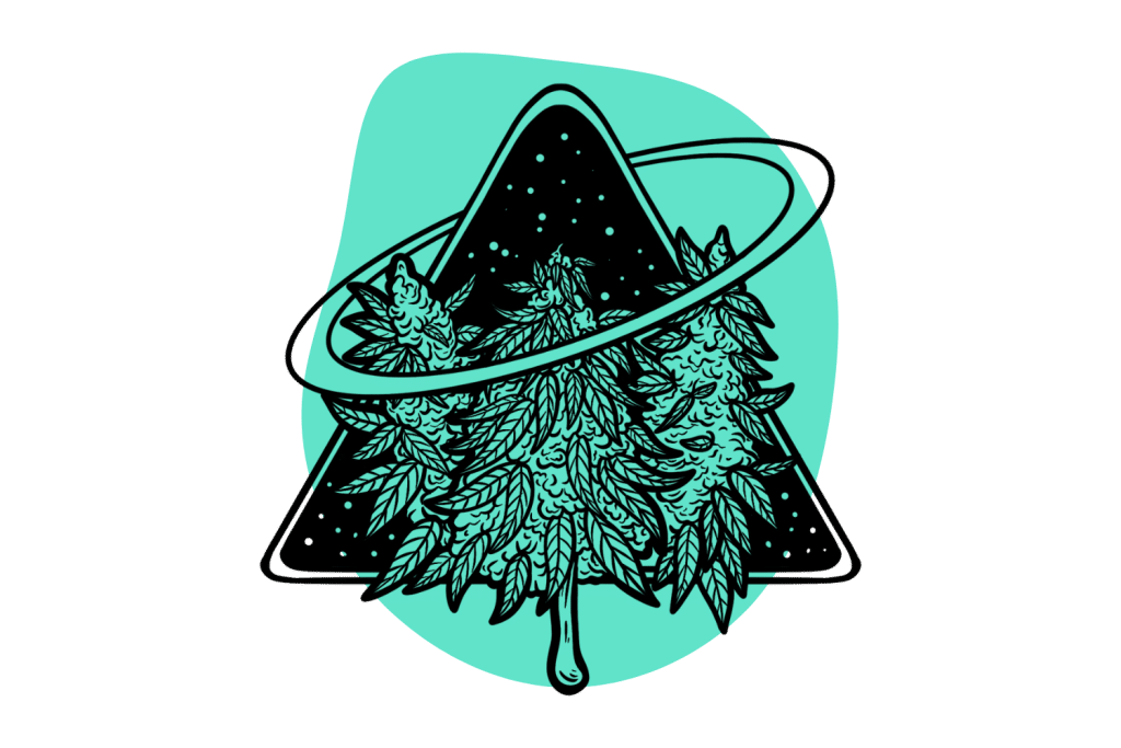 THCA (THC-Acid): Legal Loopholes & the Science of THCA - Tripsitter