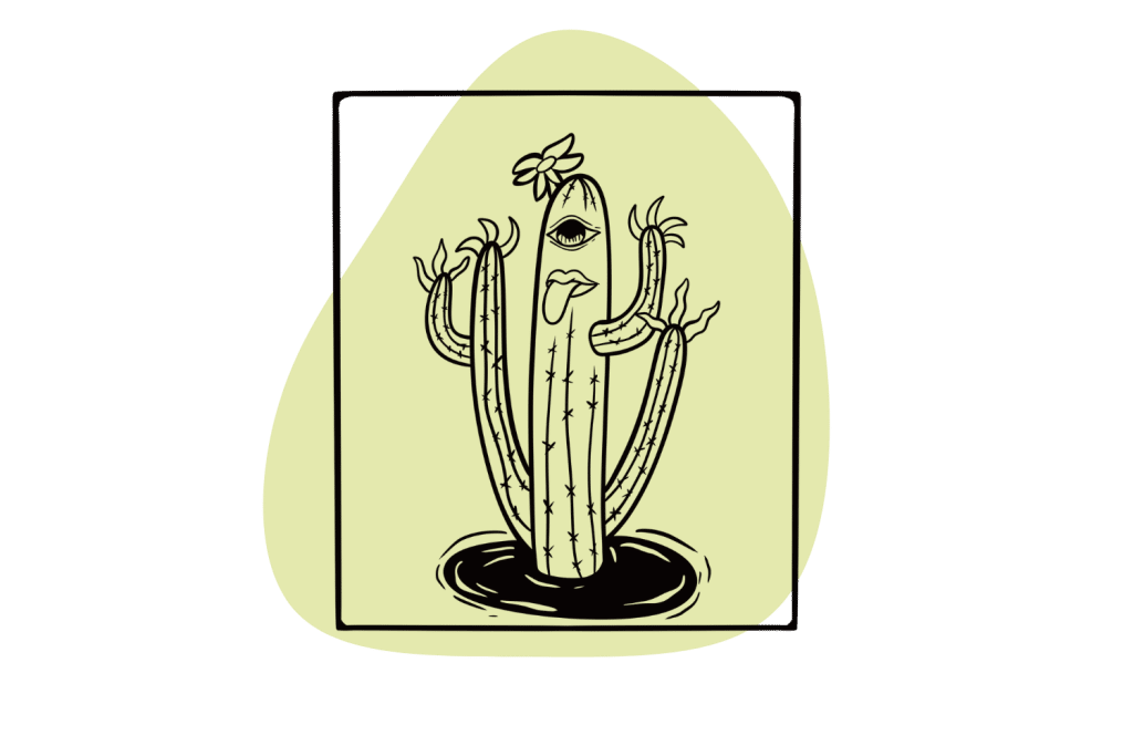 Trippy-San-Pedro-Cactus-3-2-1024x683.png