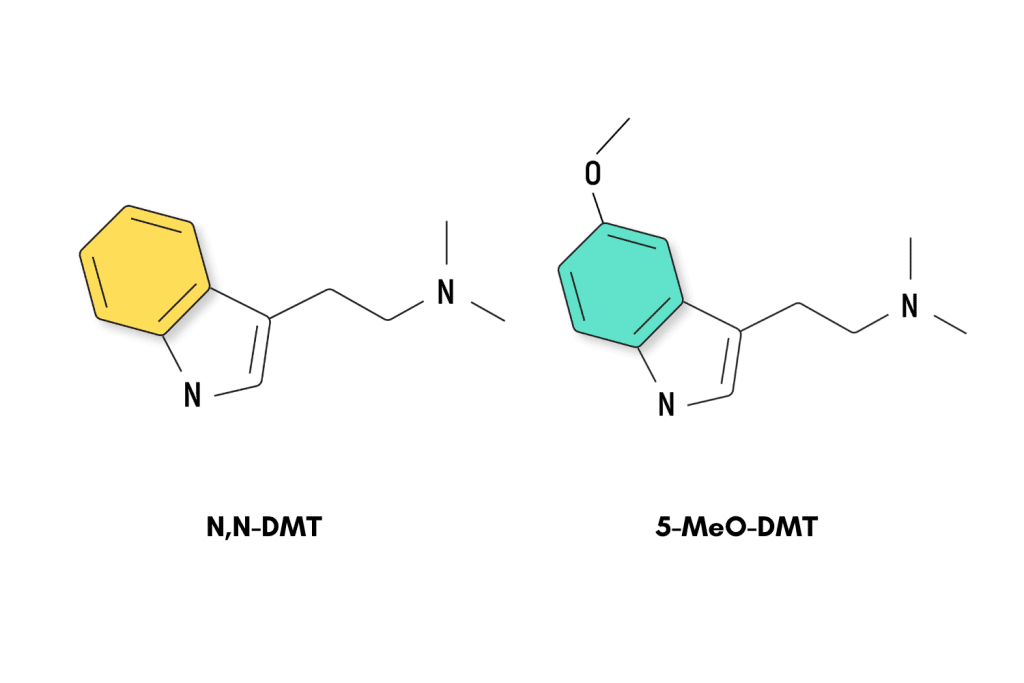 Where to buy DMT online.