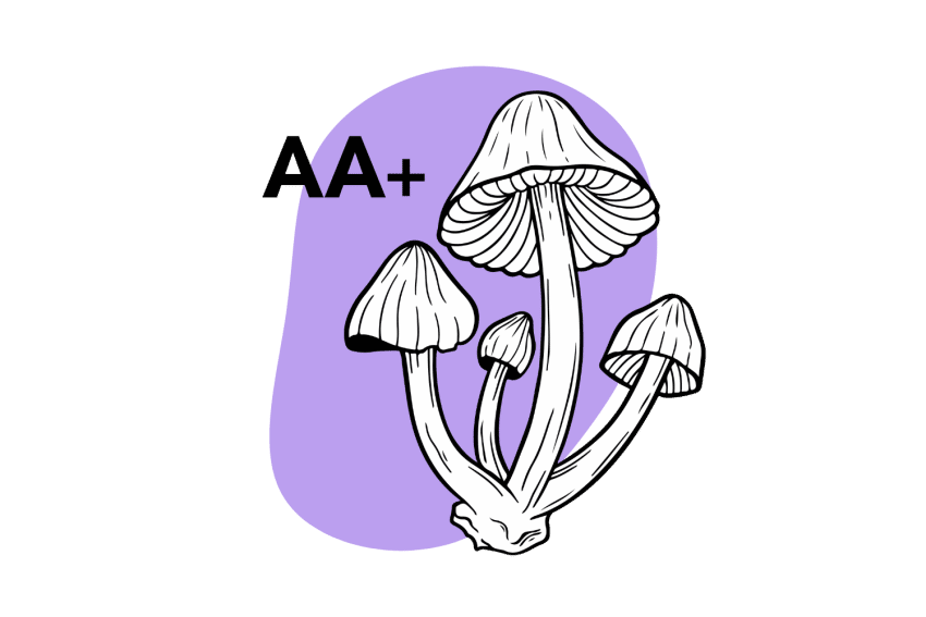 Buy Albino A Shrooms Online California 