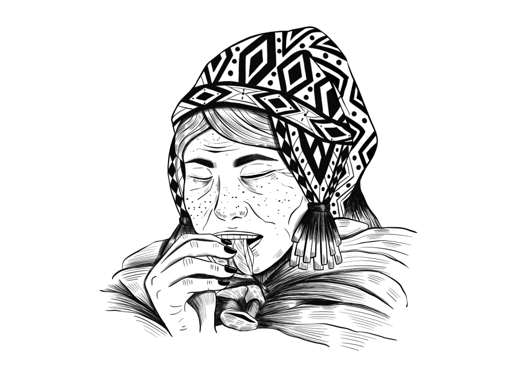 Chewing Coca Leaves: How to Take Part In This Ancient Practice - Tripsitter