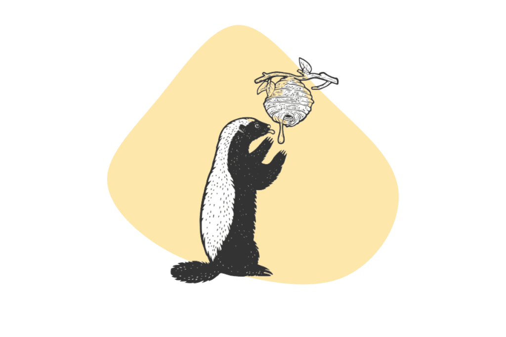 honey skunk2