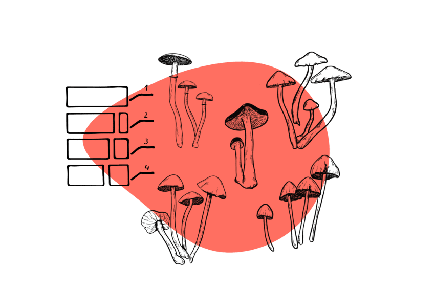 psilocybin mushroom species
