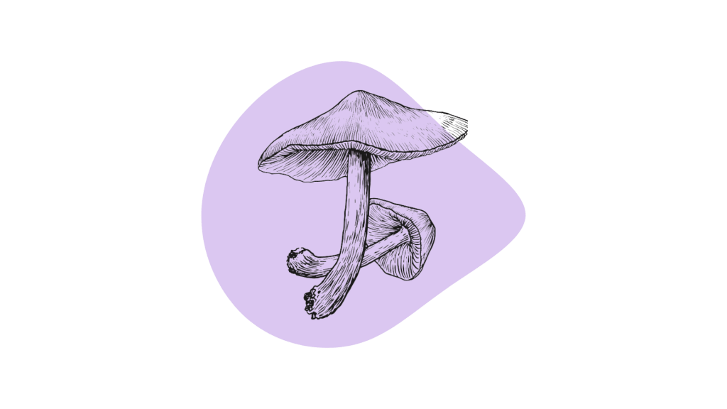 mushies11-1024x576.png