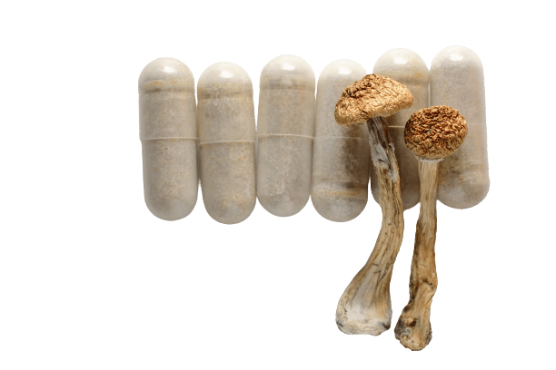 B+ Magic Mushroom Capsules for sale