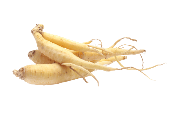 https://tripsitter.com/wp-content/uploads/panax-ginseng-2.png