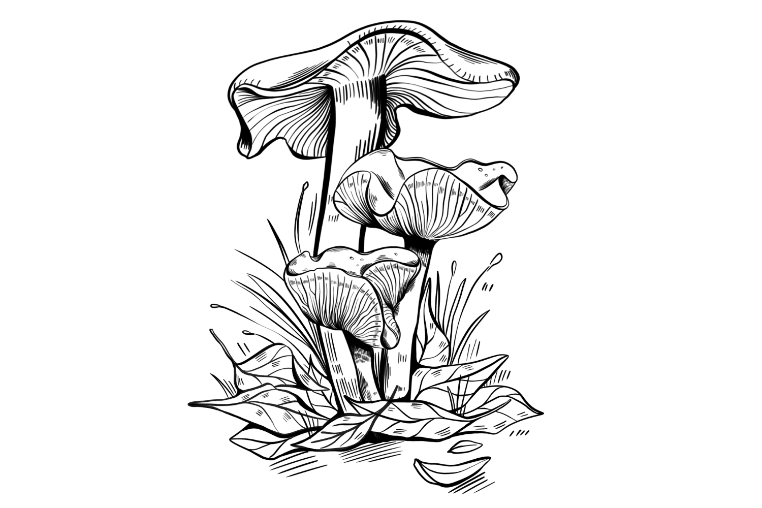 The Ultimate Guide to the Wavy Cap (Psilocybe cyanescens) - Tripsitter