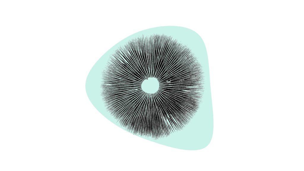 spore print