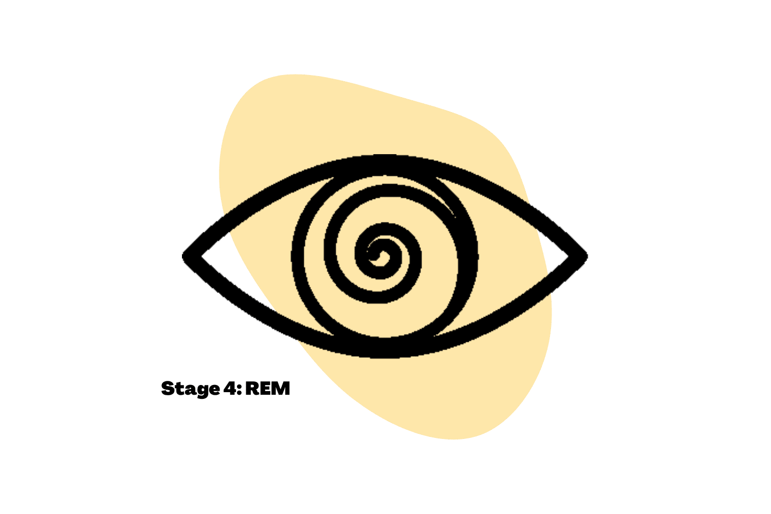 What is REM Sleep & Why Is It So Important? Tripsitter