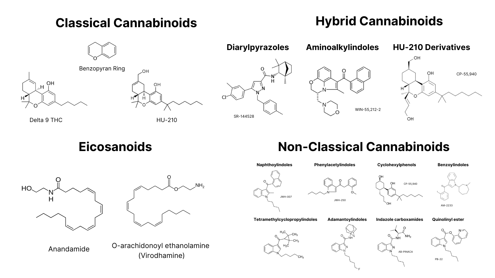 Beyond Cannabis: 8 Unexpected Plants & Fungi With Cannabinoids - Tripsitter