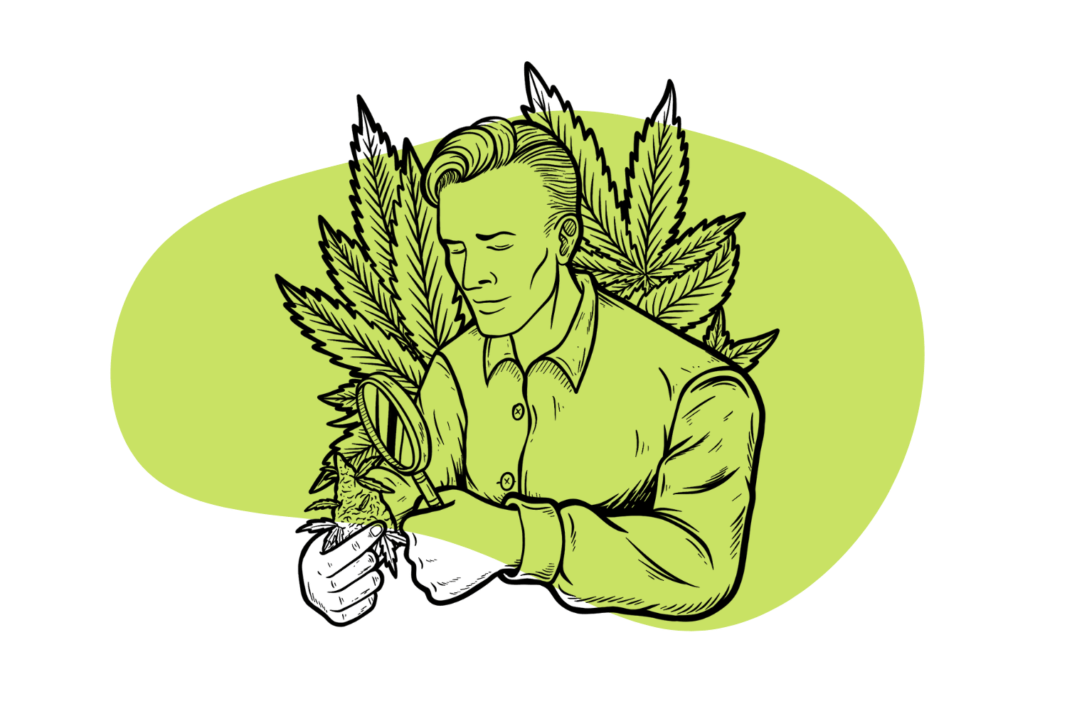 who-discovered-weed-the-history-of-cannabis-in-a-nutshell-tripsitter